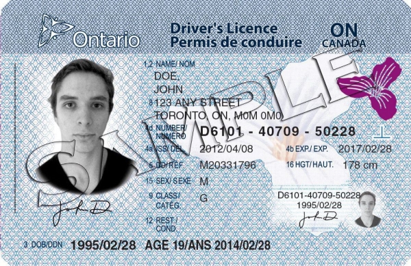 Ontario Drivers licence