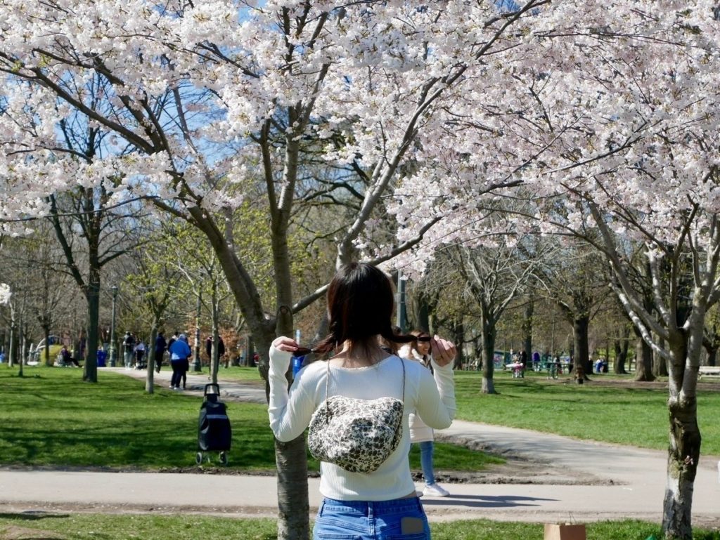 Coop_Hanami_Kuchikomi