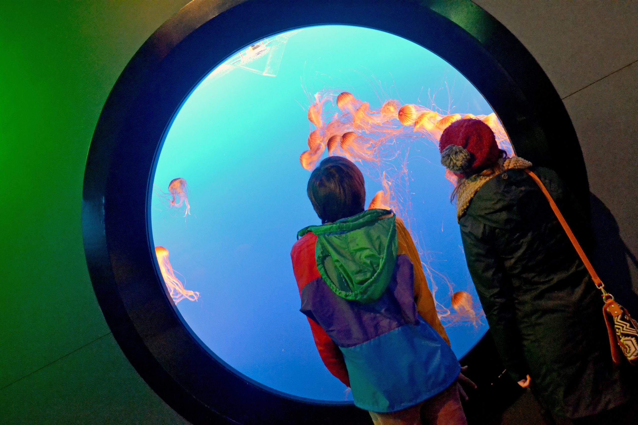 ILSC-Van_Aquarium